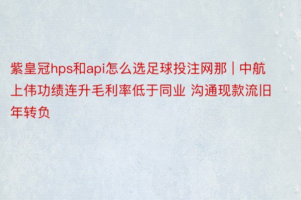 紫皇冠hps和api怎么选足球投注网那 | 中航上伟功绩连升毛利率低于同业 沟通现款流旧年转负